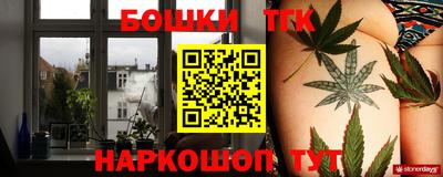 шишки Дубна