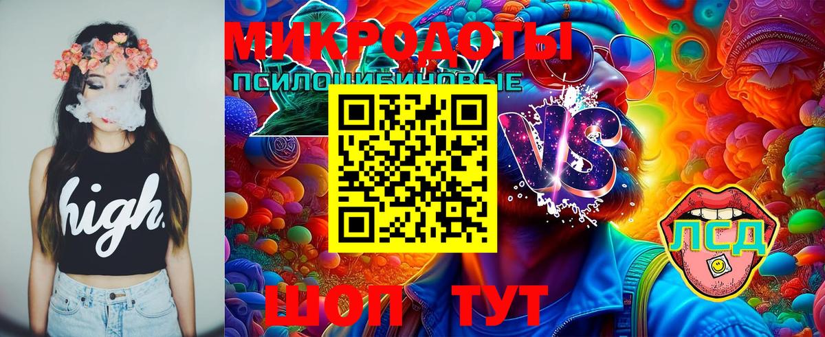 Богданович  Галлюциногенные грибы MAGIC MUSHROOMS  Вход с VPN  Галлюциногенные грибы Cubensis 